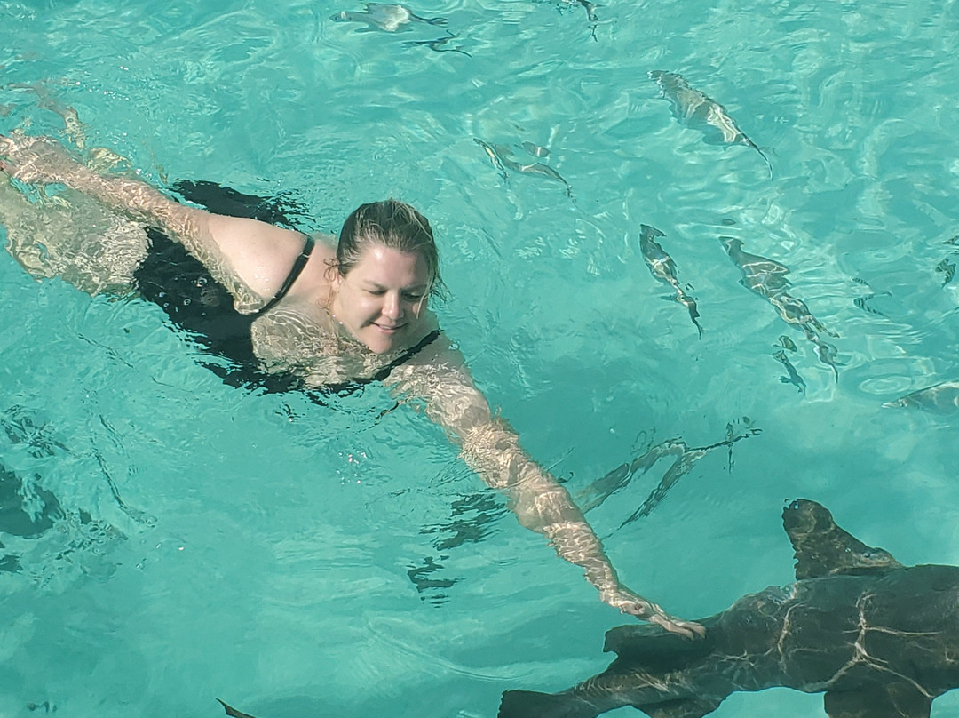 Sun Fun Tours-大埃克苏马必去景点