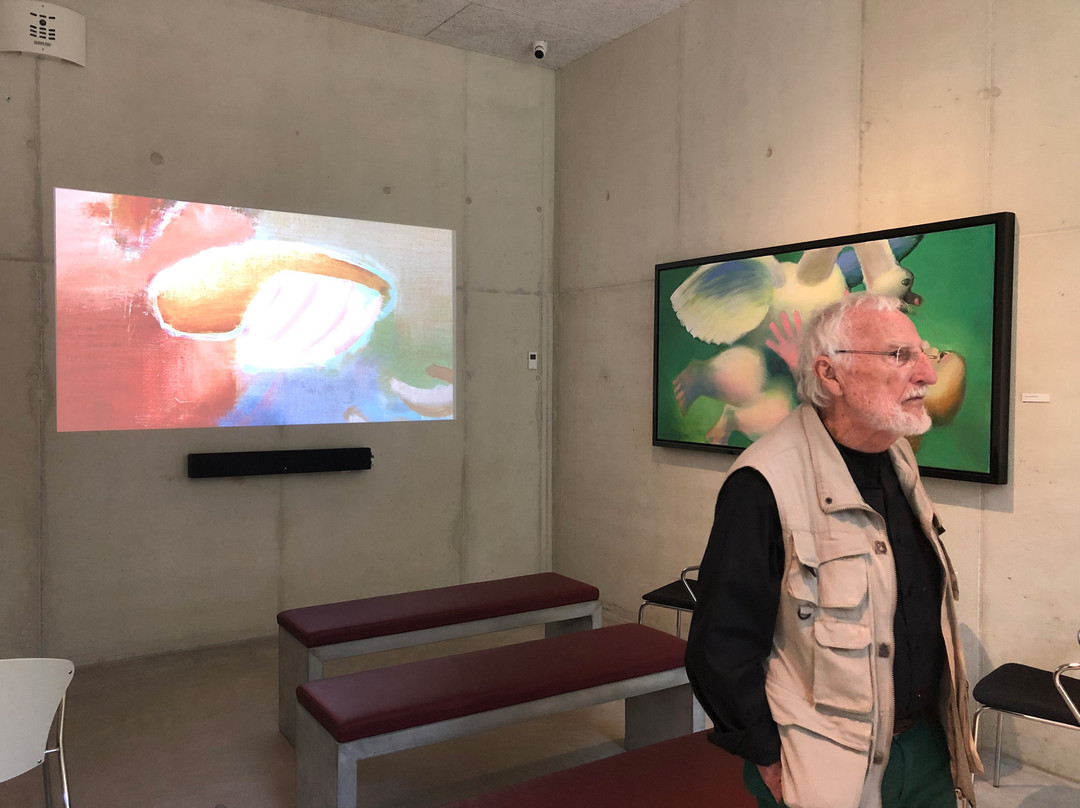 Arne Haugen Sorensen Museum景点图片