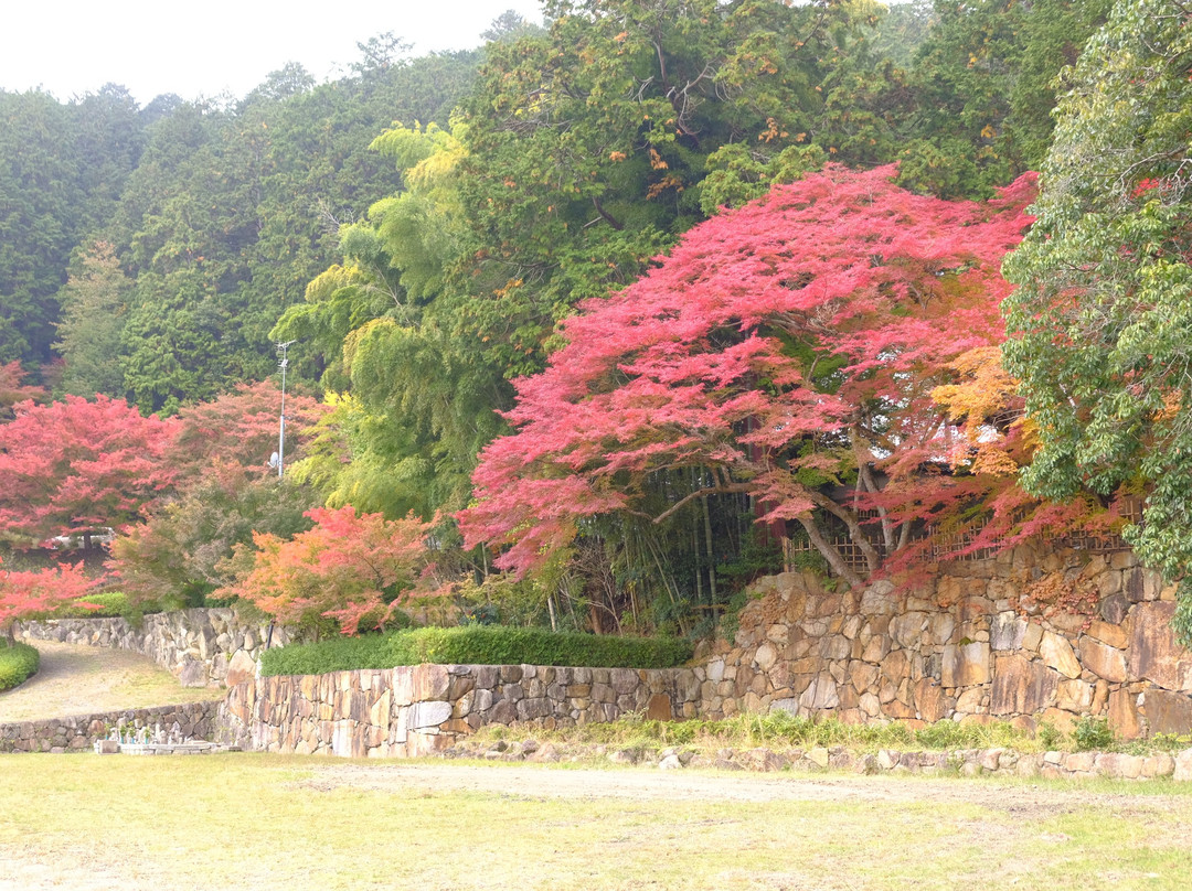 Myoshu-ji Temple-龟冈市必去景点