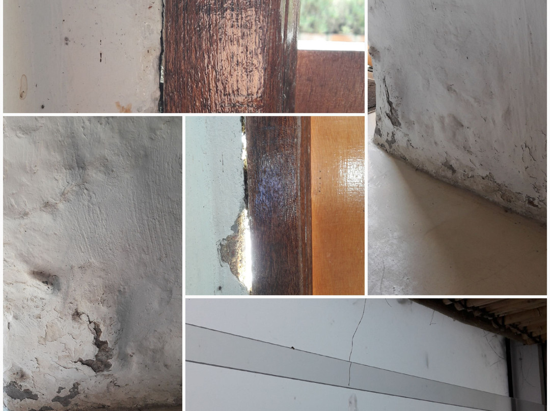 Springfontein Wine Estate主图