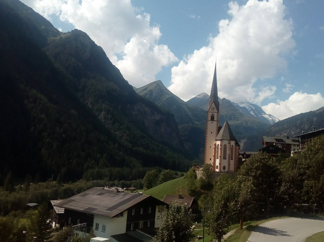 Hotel Der Almhof主图