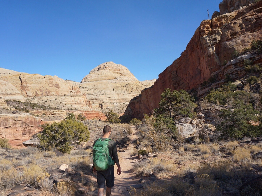 Cohab Canyon Trail-圆顶礁国家公园必去景点