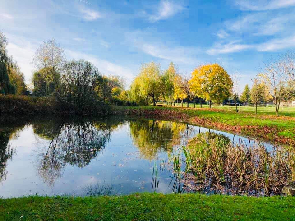 Hotel Stara Stajnia主图