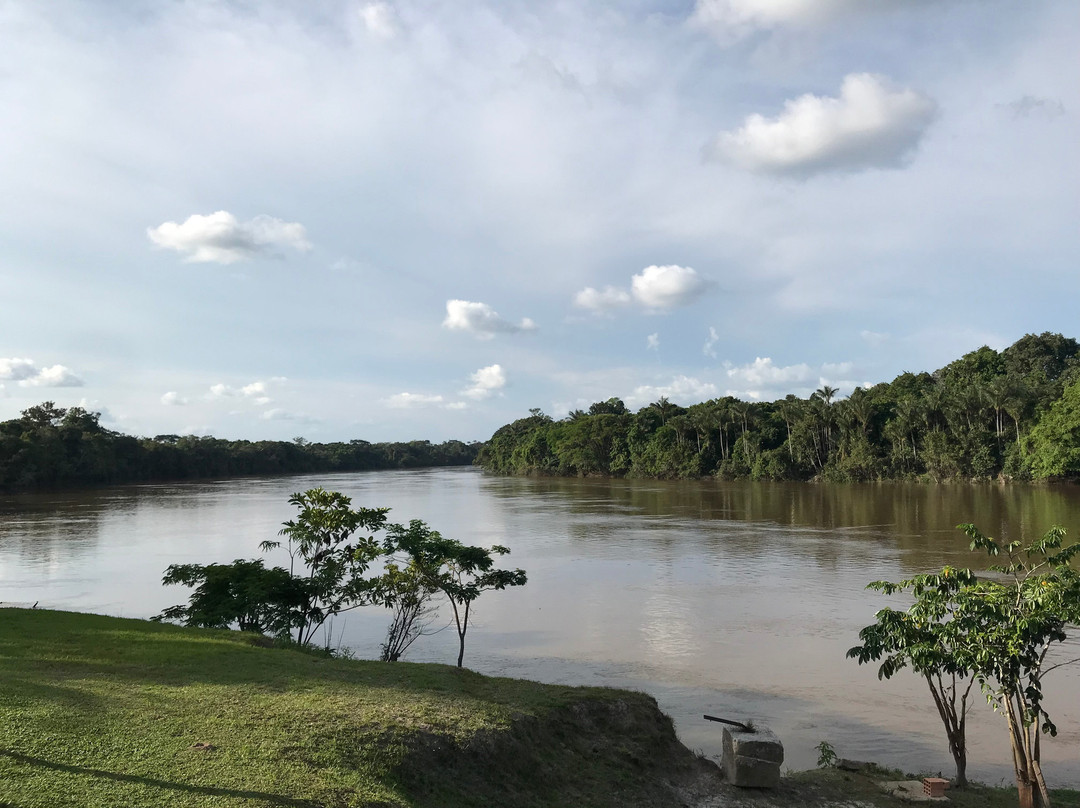 Ayahuasca Foundation-伊基托斯必去景点