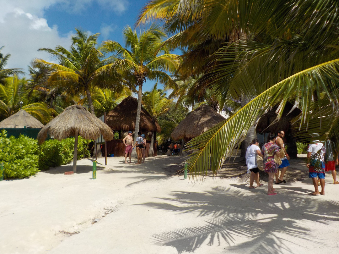 Akumal Bay-艾库玛尔必去景点