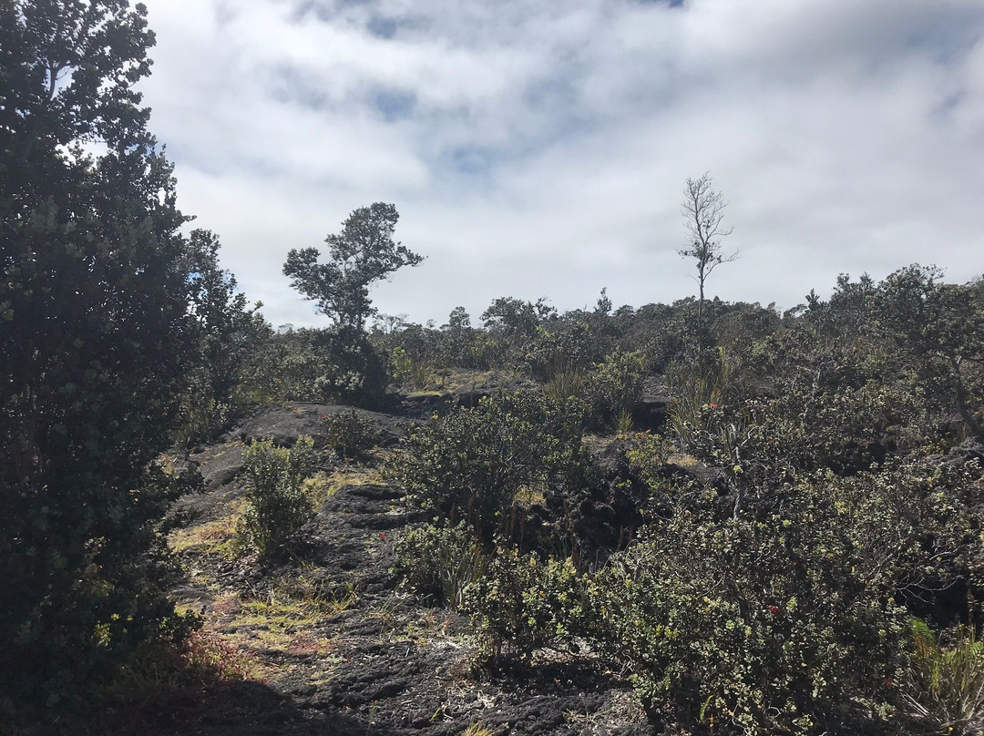 Pu'u Huluhulu trail-夏威夷火山国家公园必去景点