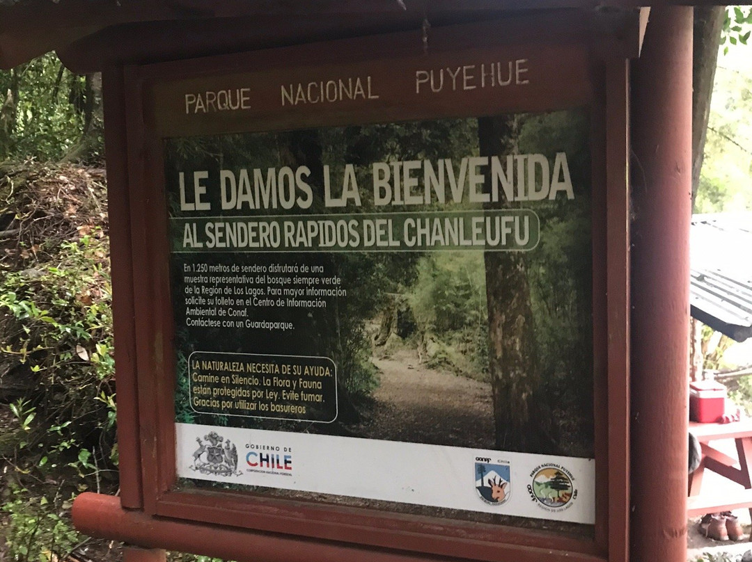Termas  Aguas Calientes-Osorno必去景点