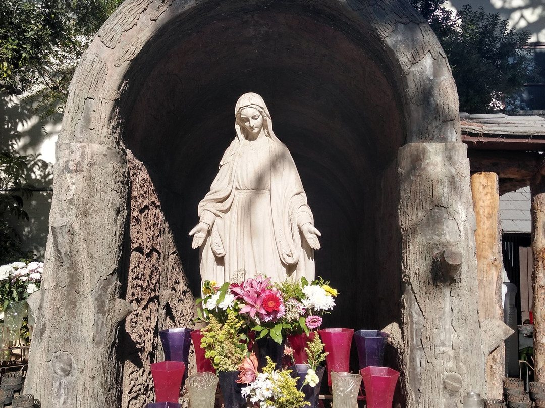 Mission Basilica San Buenaventura景点图片