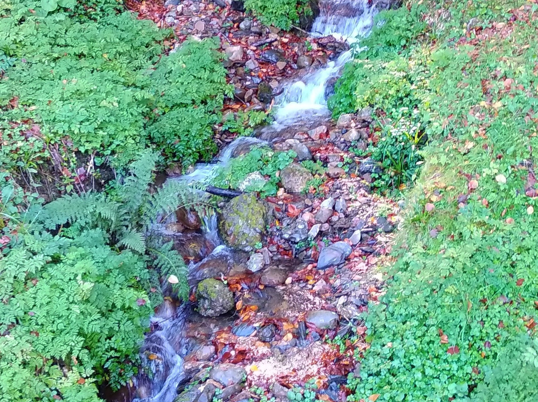 Desfiladero de Los Beyos-Amieva必去景点