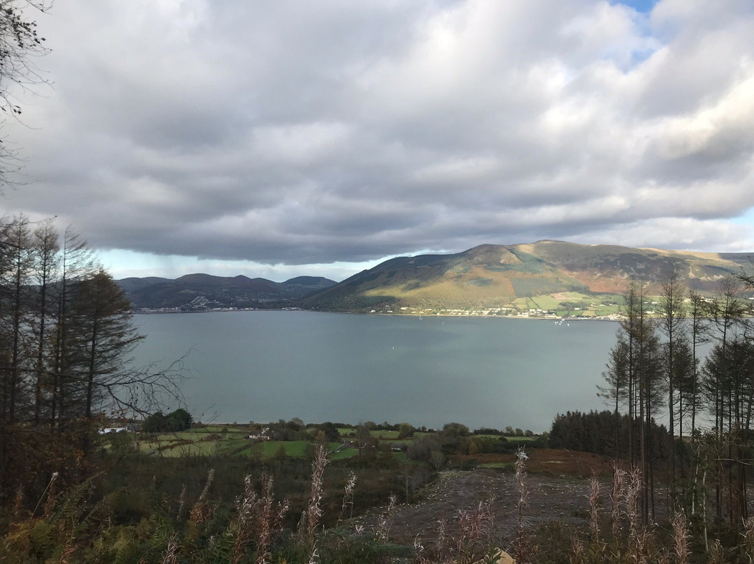 E-Bike Escapes Carlingford-Carlingford必去景点