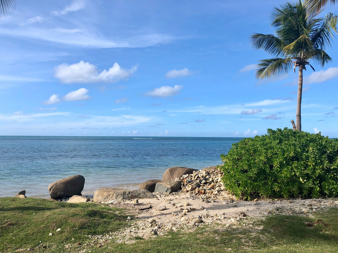 Coco Beach Golf Club-Rio Grande必去景点