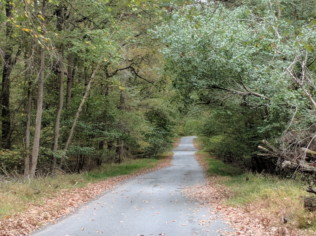 Patuxent Research Refuge - North Tract-Laurel必去景点