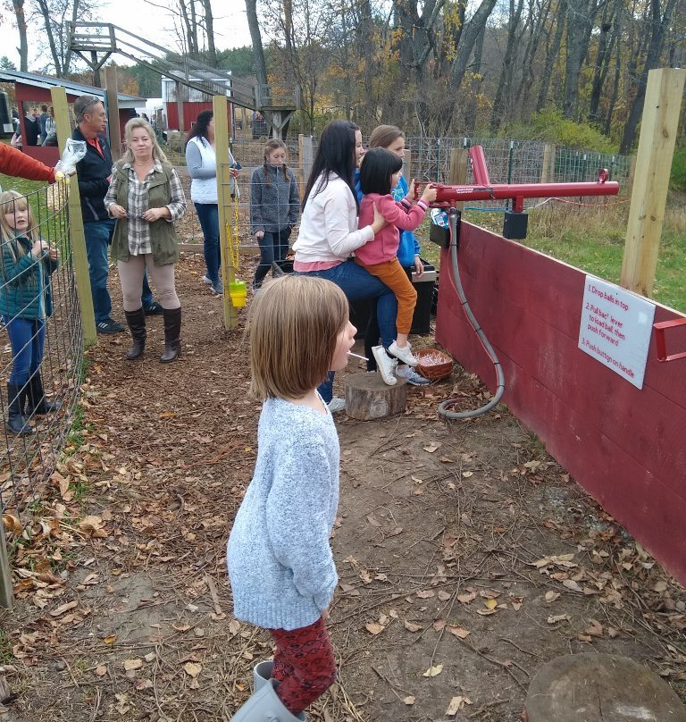 Pumpkin Valley Farm-Dayton必去景点