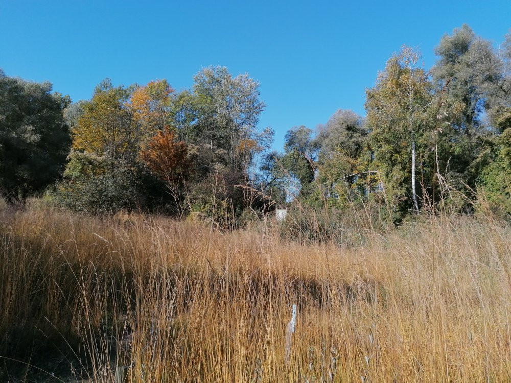 Infohaus Isarmuendung-Moos必去景点