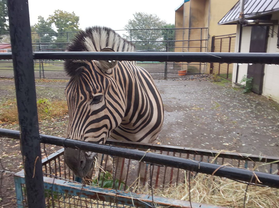 Obihiro Zoo-带广市必去景点