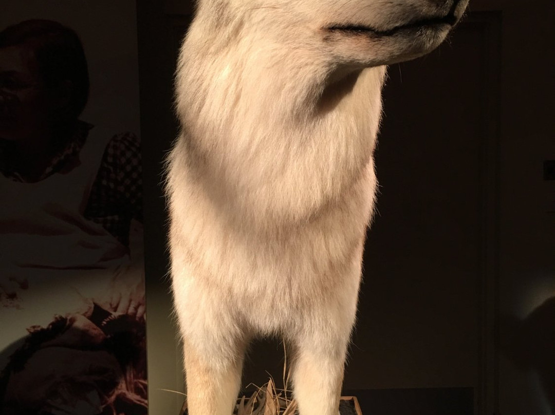 Musee Regional de la Cote-Nord