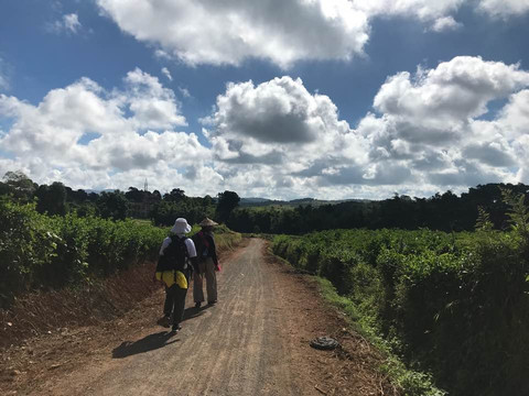 Ye Lin Kalaw Trekking-格劳必去景点