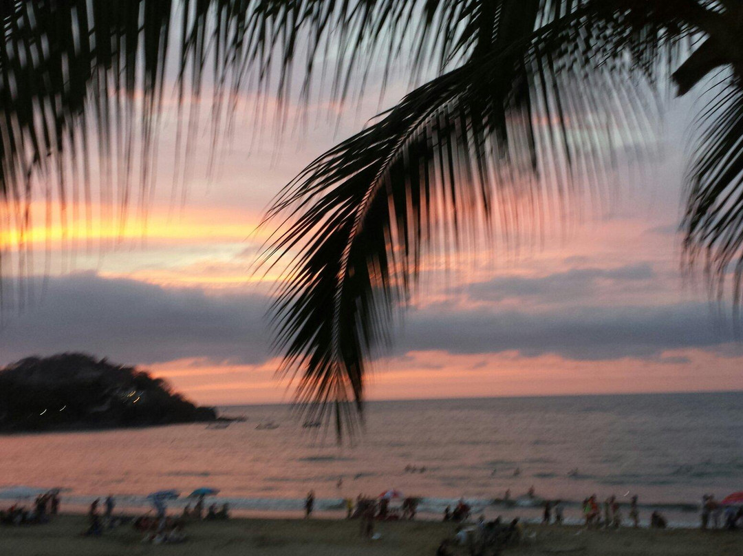 Sayulita Beach景点图片