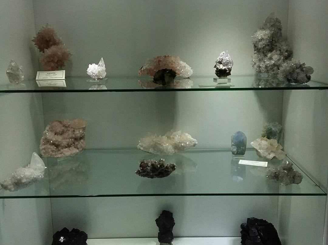 Fresnillo旅游景点-Museo De Minerales Jesus Salinas