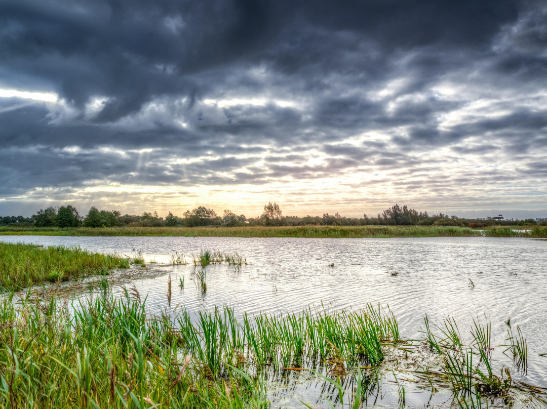 Captain Buddy's-希尔顿头岛必去景点