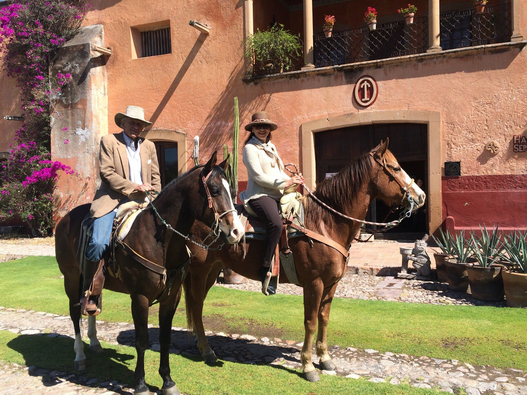 Cabalgatas Las Haciendas Horseback Adventures景点图片