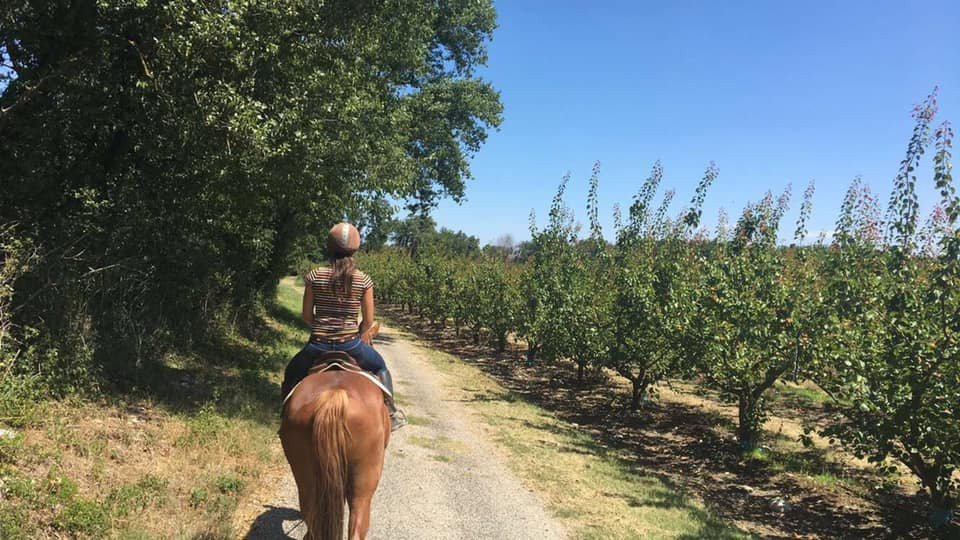 La ferme equestre des peches景点图片