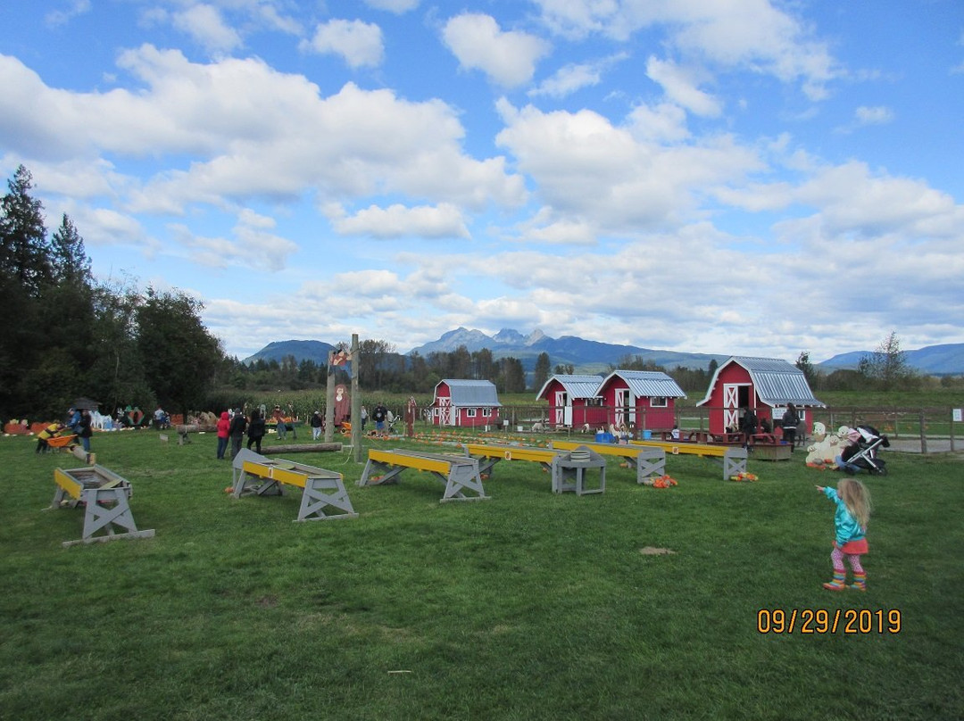 Laity Pumpkin Patch-枫树岭必去景点