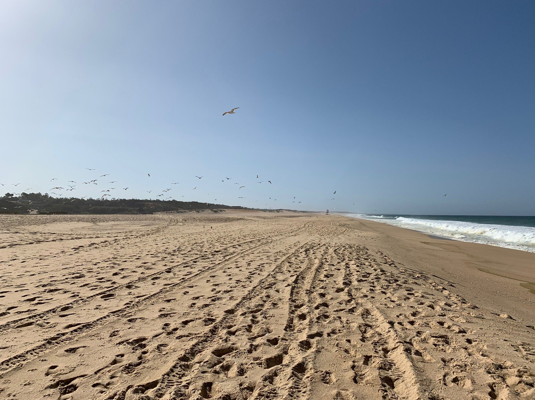 Praia de Melides景点图片