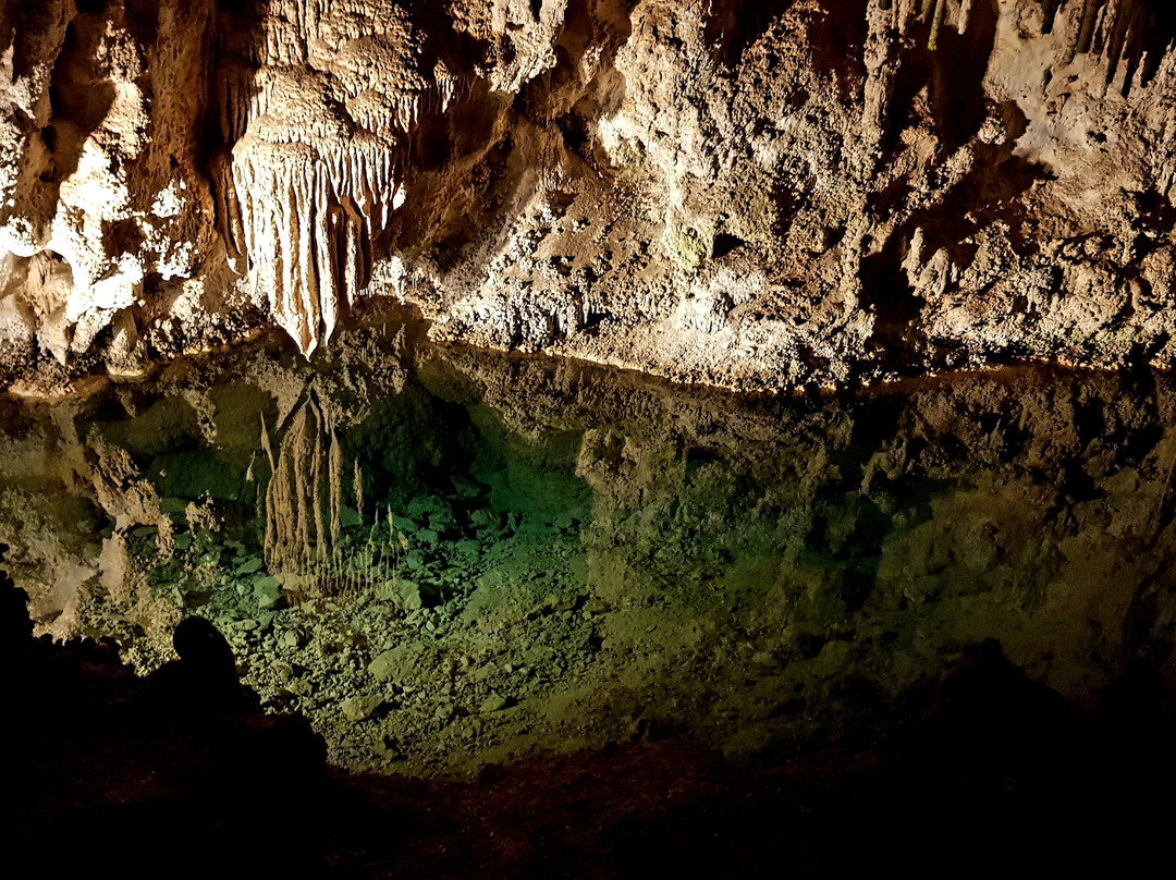 Carlsbad Caverns National Park Visitor Center景点图片