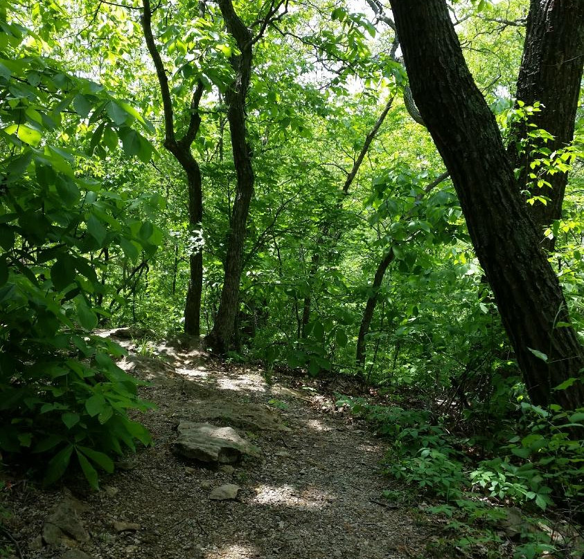 Burr Oak Woods Conservation Area景点图片