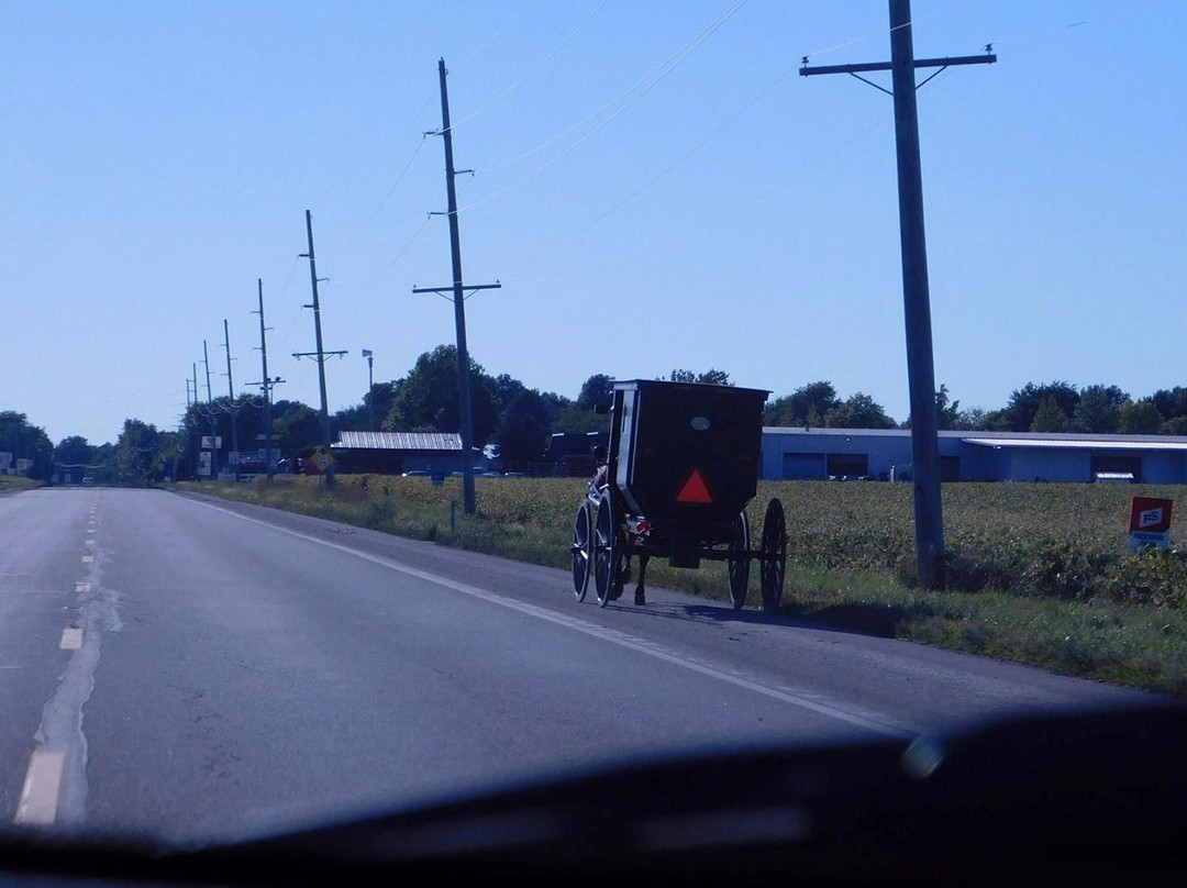 Arthur旅游景点-Country Cheese and More