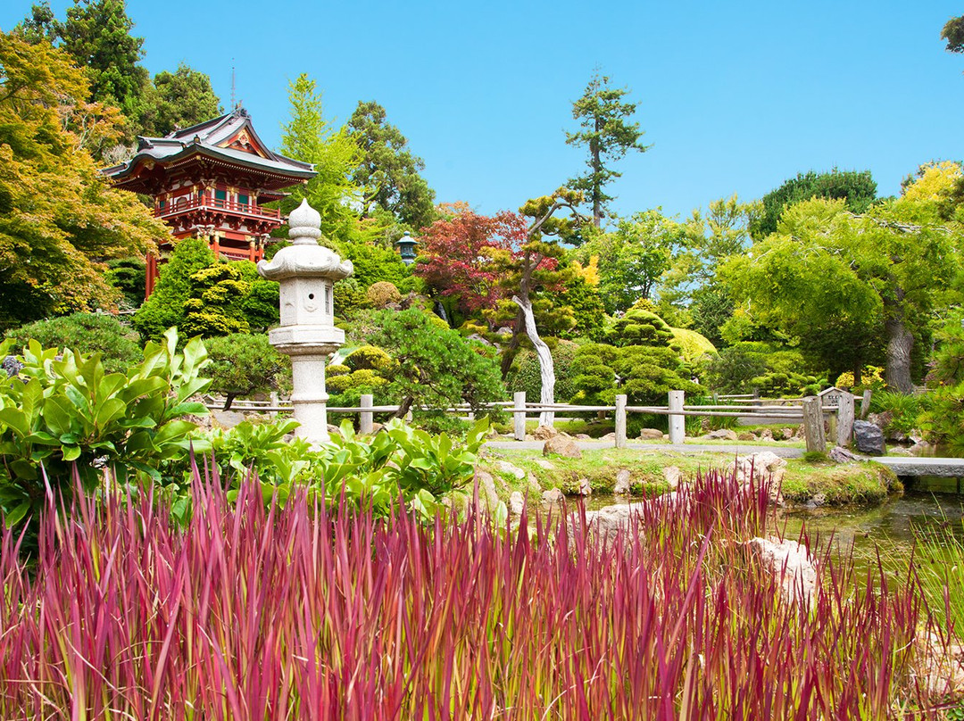 旧金山旅游景点-金门国家游乐区