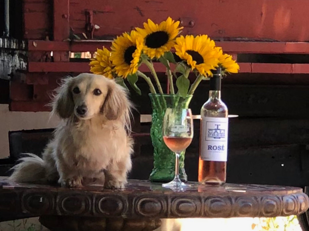 Carmel Valley Wine Tours-蒙特雷必去景点