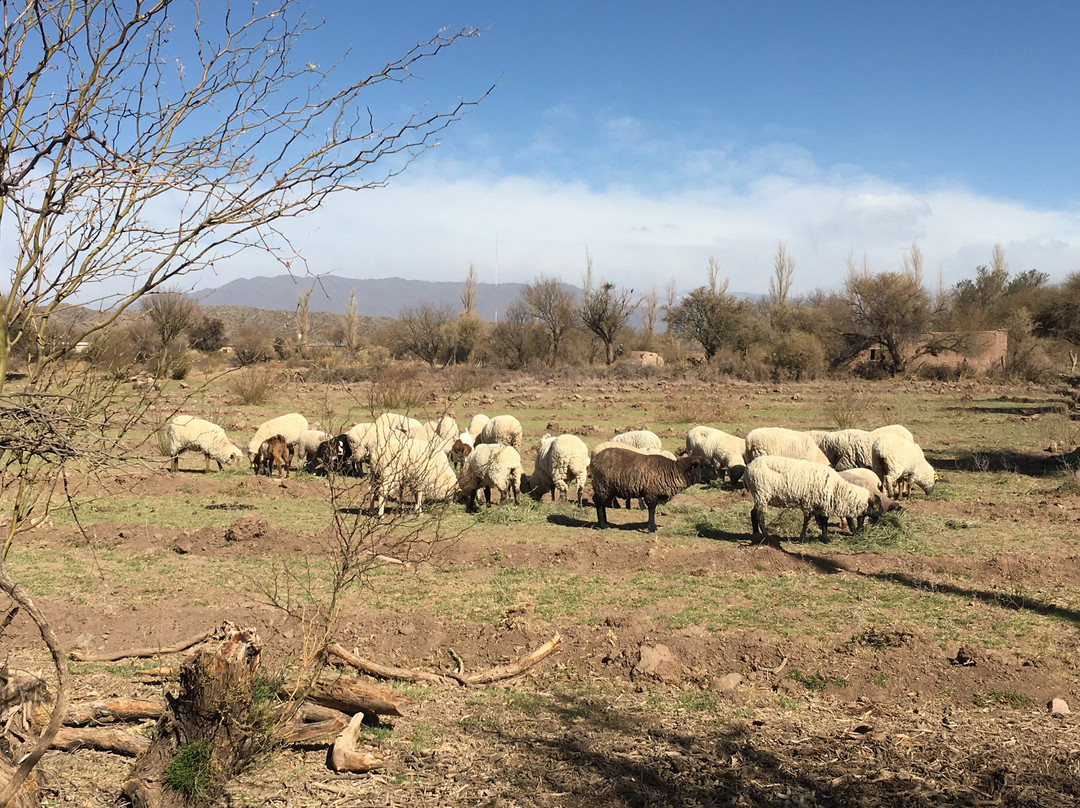 Posada Los Mudaderos主图