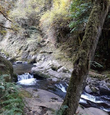 Sweet Creek Falls-Mapleton必去景点
