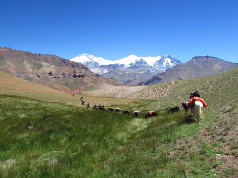 Rancho El Rosario Horse Riding Holidays