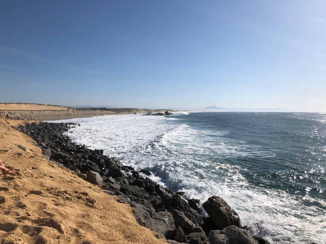 Office de Tourisme Landes Atlantique Sud Agence de Capbreton景点图片