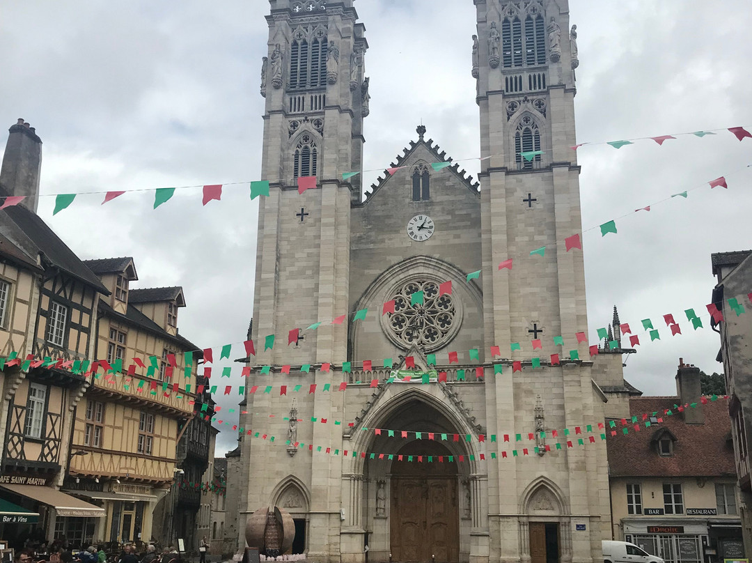 Cathédrale Saint Vincent-索恩河畔沙隆必去景点