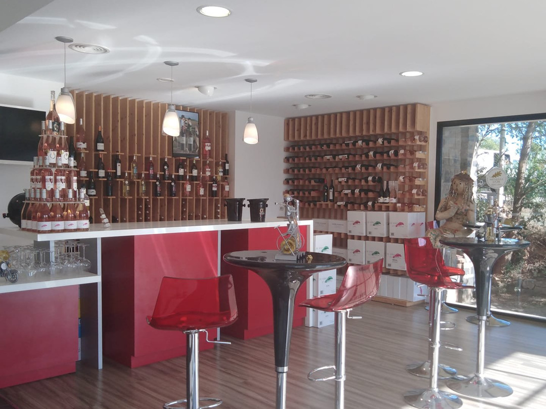 Cave Cooperative Les Vignerons de Portiragnes景点图片