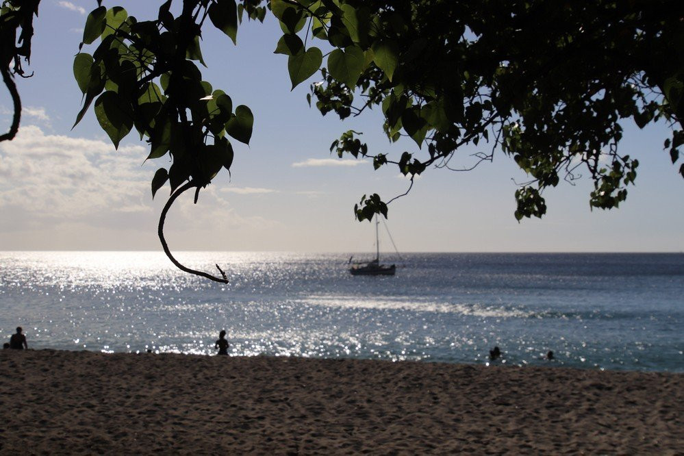 Anse Turin-马提尼克必去景点