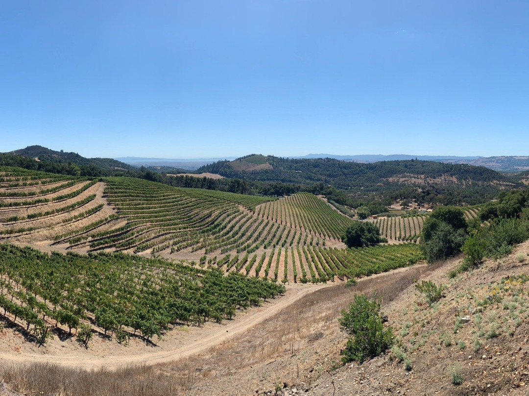 Kamen Estate Wines景点图片