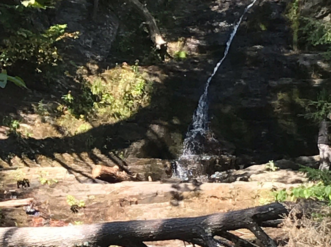 Cascade Falls景点图片