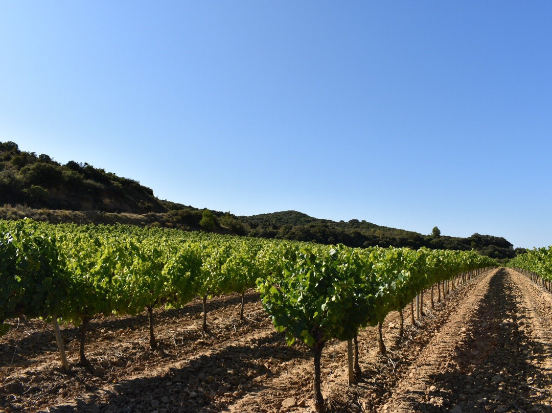 Bodegas Proyecto Unsi-Olite必去景点