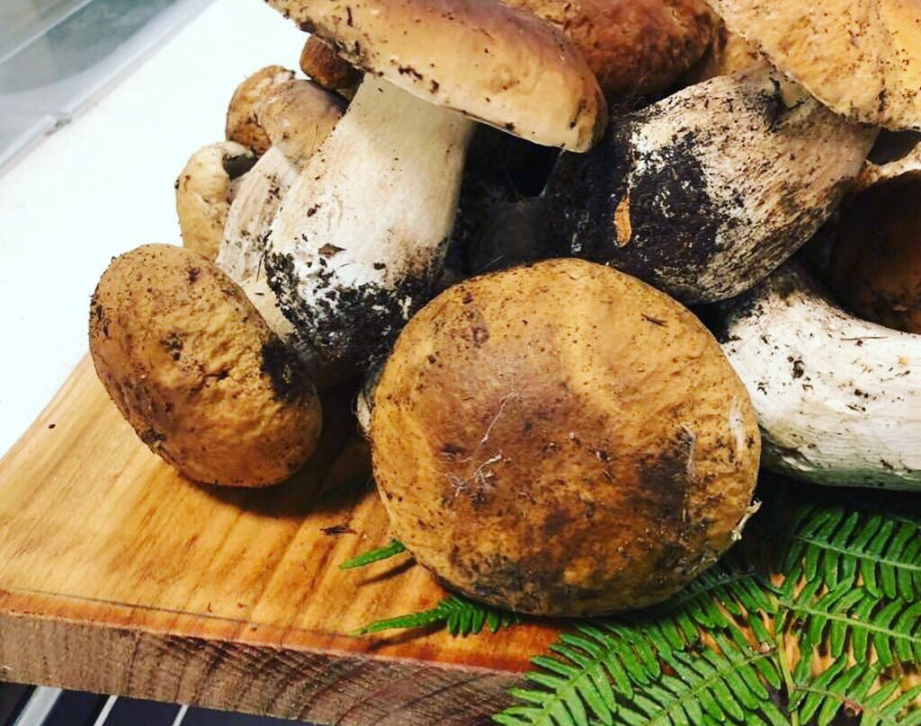 Prascorsano餐馆和美食-Bambu77