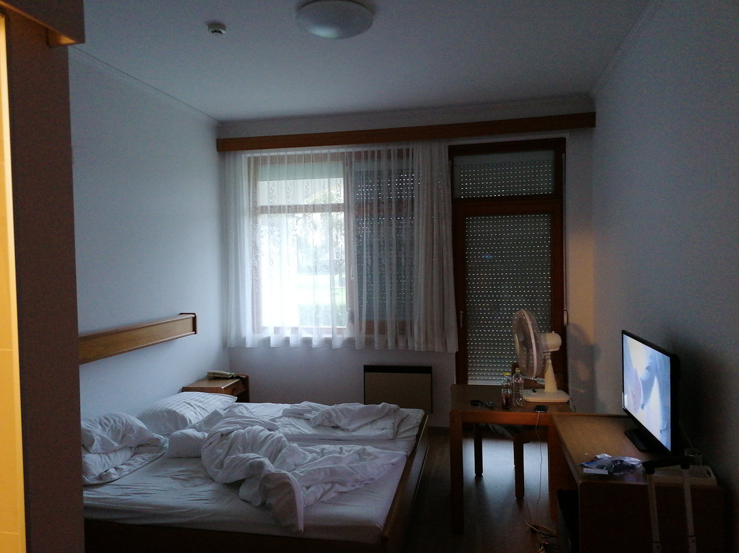Hotel Morbischerhof主图
