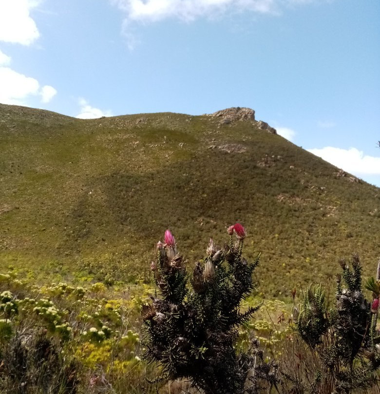 Fernkloof Nature Reserve景点图片