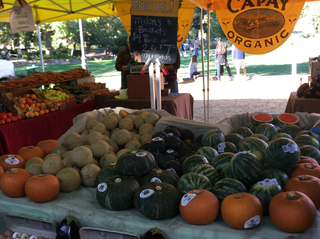 Farmers Market-戴维斯必去景点