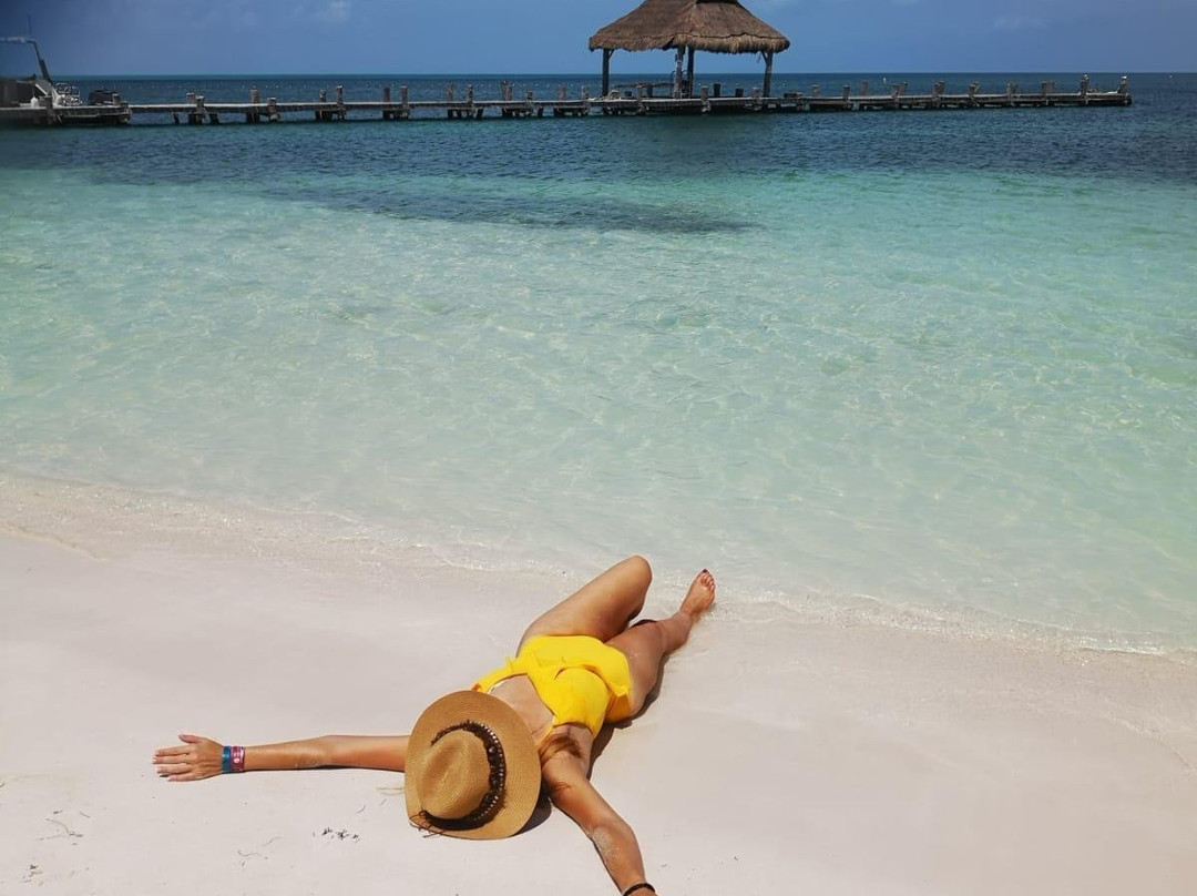 Blue Bus Tours-墨西哥城必去景点