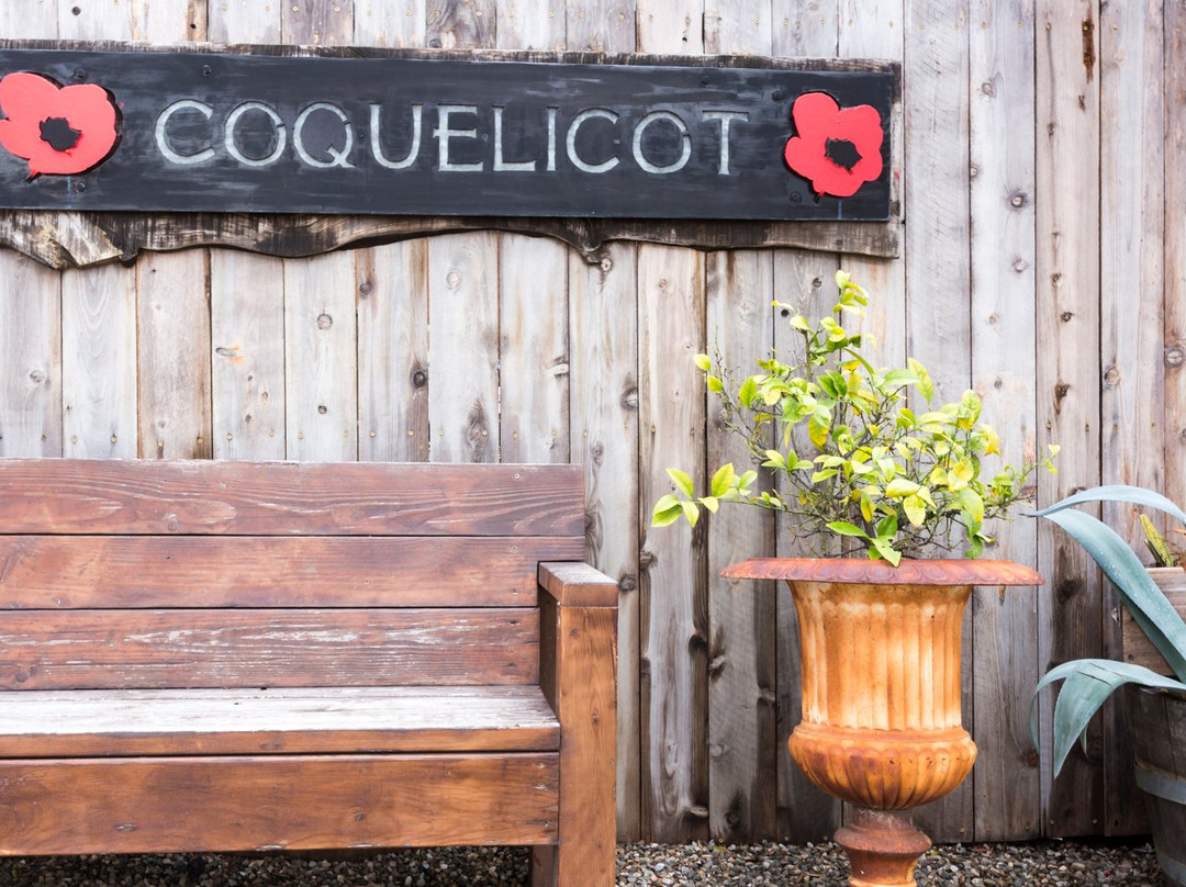 Coquelicot Estate Vineyards-洛斯奥利沃斯必去景点