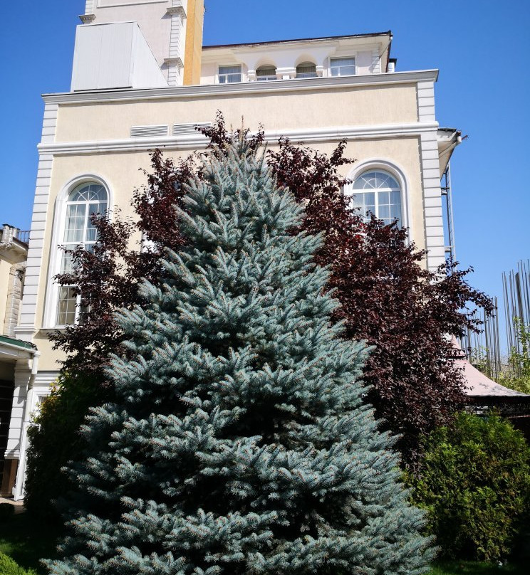 Park Hotel Bishkek主图